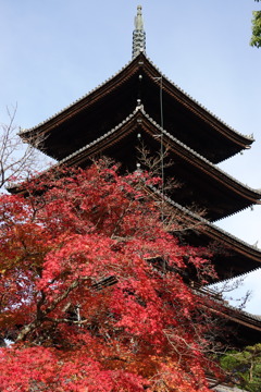 京紅葉2018＿仁和寺06　五重塔２