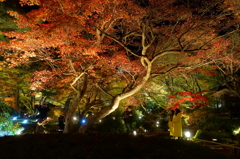 京紅葉2015＿宝厳院16