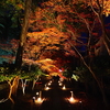 京紅葉2025＿嵐山・鹿王院夜の特別拝観03　山門からの道