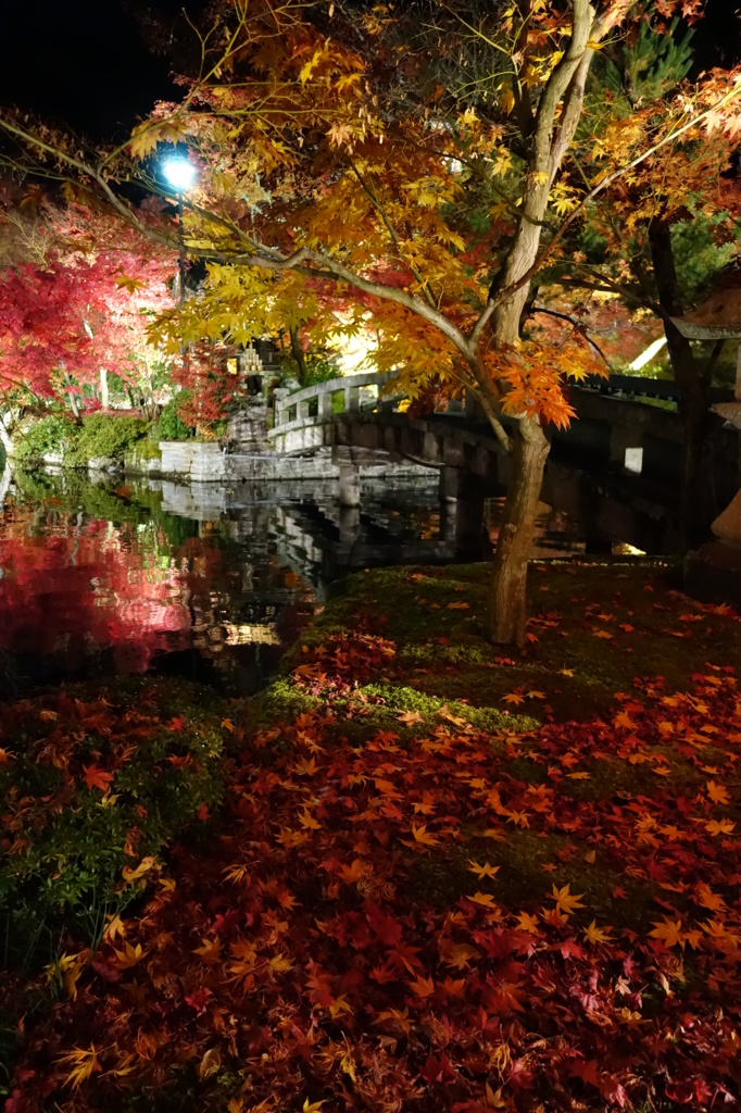 京紅葉2013＿永観堂06