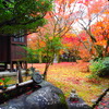 京紅葉2024＿真如堂12