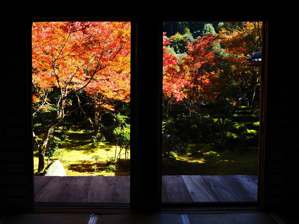 京紅葉2025＿槙尾・西明寺03　本堂から