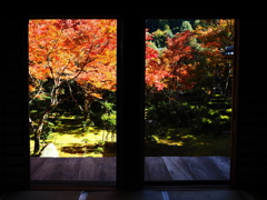 京紅葉2025＿槙尾・西明寺03　本堂から