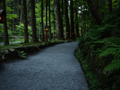 貴船神社　奥宮 参道