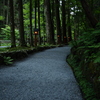 貴船神社　奥宮 参道