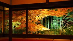京紅葉2024＿大原・宝泉院　秋の夜灯り01