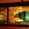 京紅葉2024＿大原・宝泉院　秋の夜灯り01