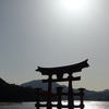 白日の門