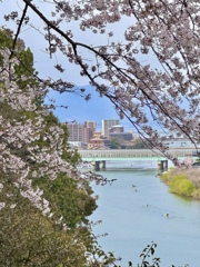 石山寺から漕艇