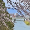 石山寺から漕艇