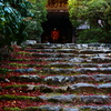 京紅葉2025＿洛西・浄住寺06　ご本尊