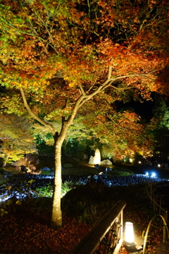 京紅葉2015＿宝厳院02