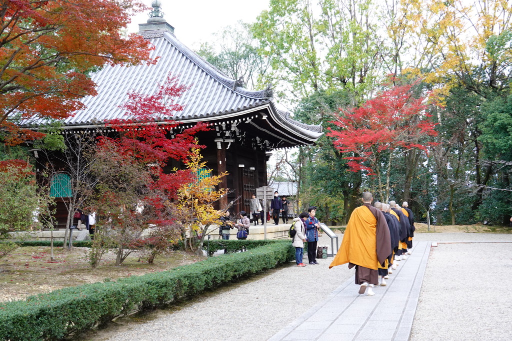 京紅葉2018＿仁和寺02　僧列