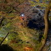 京紅葉2015＿宝厳院04　樹間の月