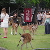 奈良も変わらず