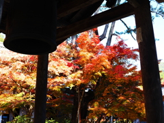 京紅葉2025＿槙尾・西明寺09　一音一〇〇円