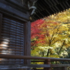 滋賀紅葉2025＿葛川息障明王院02