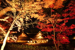 京紅葉2016　北野天満宮もみじ苑_03