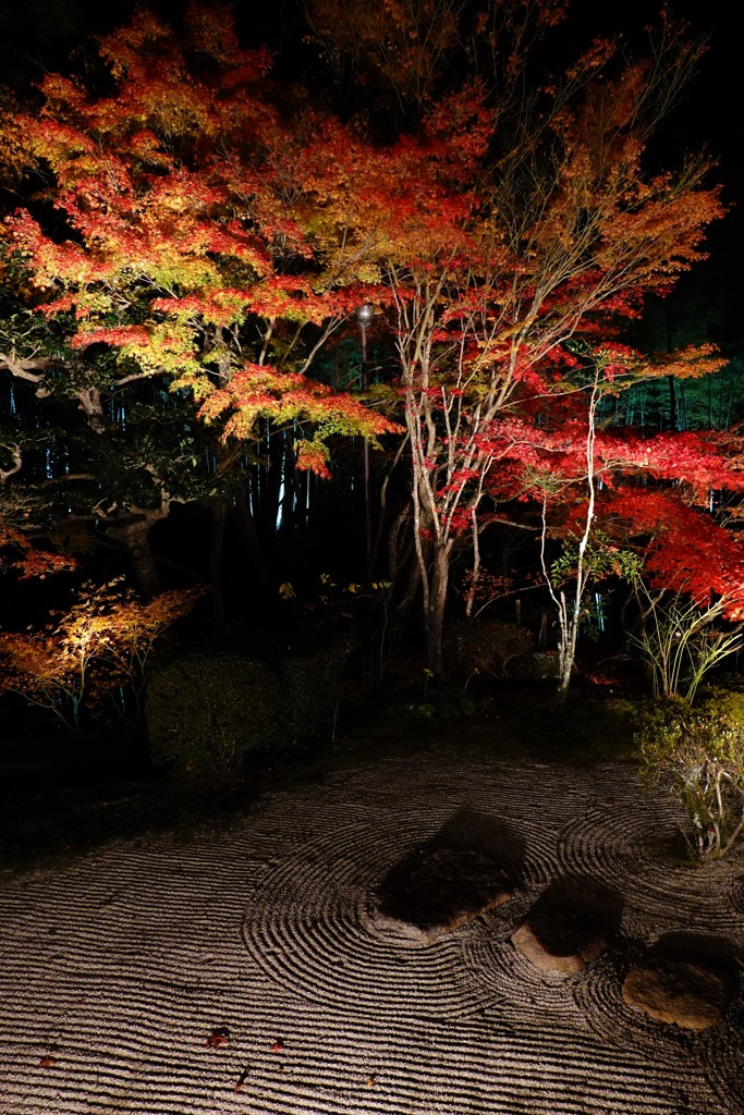 京紅葉2018＿天授庵02