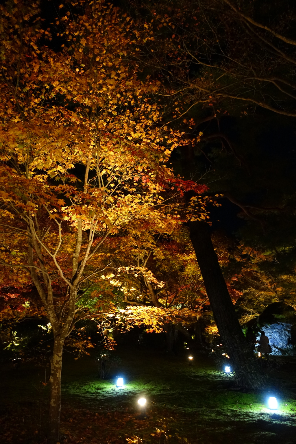 京紅葉2015＿宝厳院07