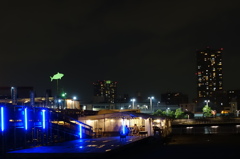 都会（まち）の魚