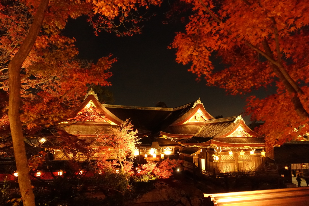 京紅葉2016　北野天満宮もみじ苑_06