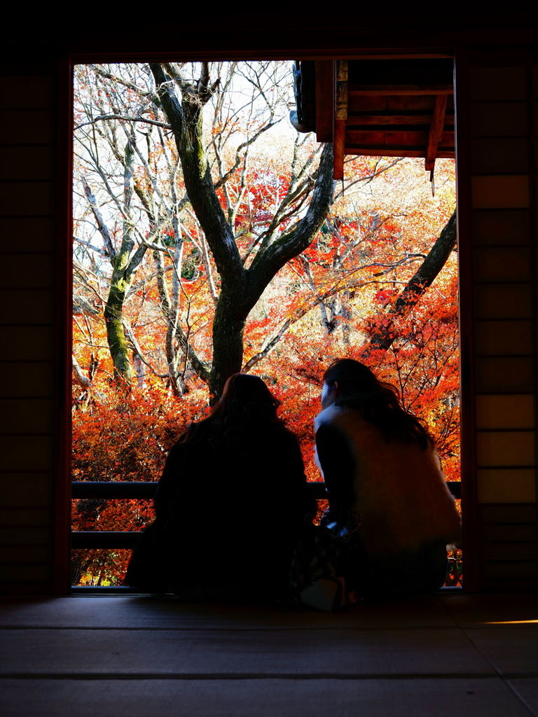 京紅葉2025＿嵐山・宝筐院04　20分