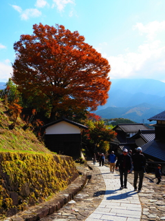 坂道を見下ろして