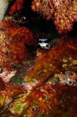 京紅葉2013＿永観堂09