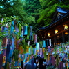 貴船神社＿七夕笹飾り