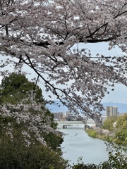 石山寺から