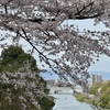 石山寺から