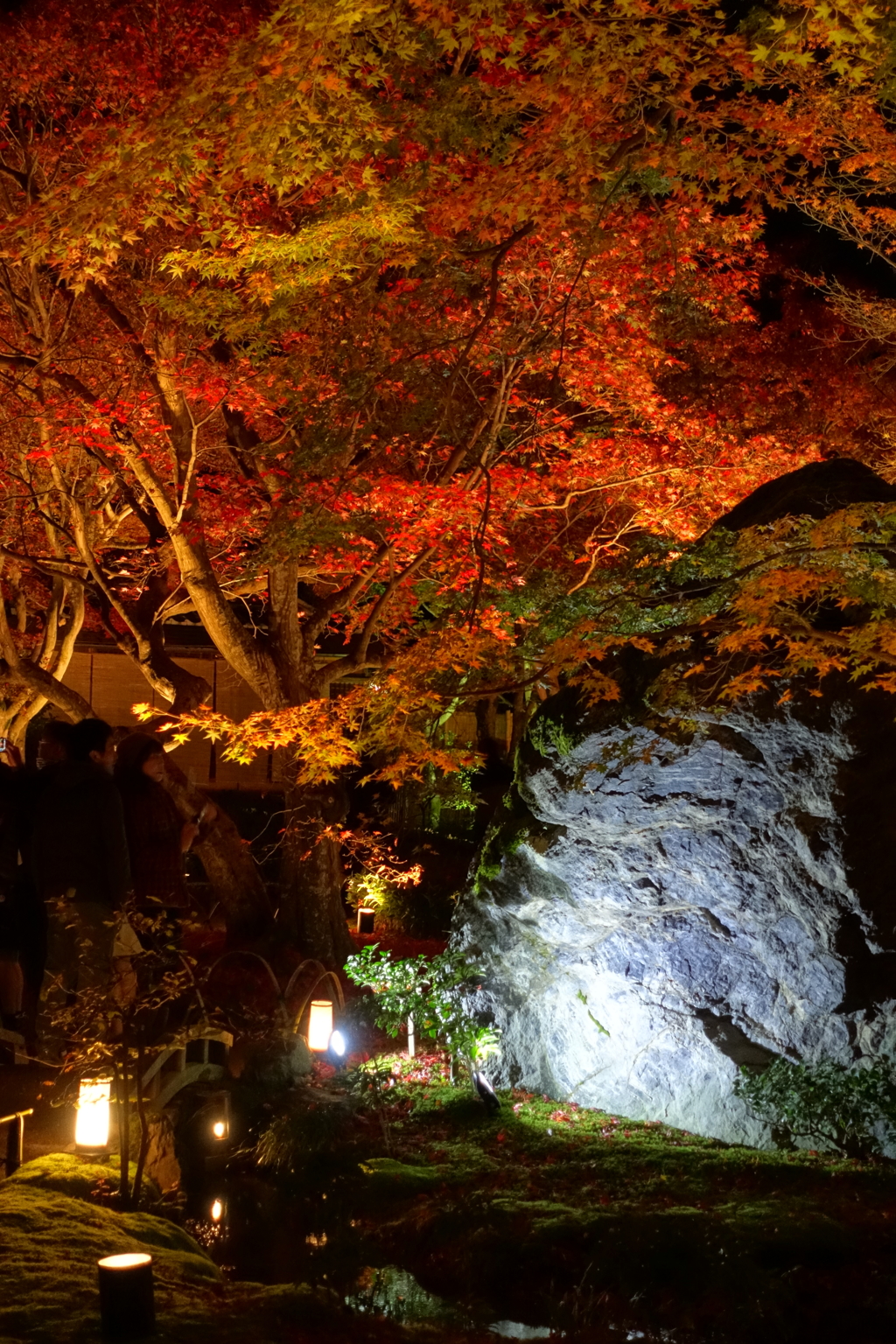 京紅葉2015＿宝厳院11