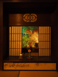 京紅葉2024＿大原・宝泉院　秋の夜灯り04