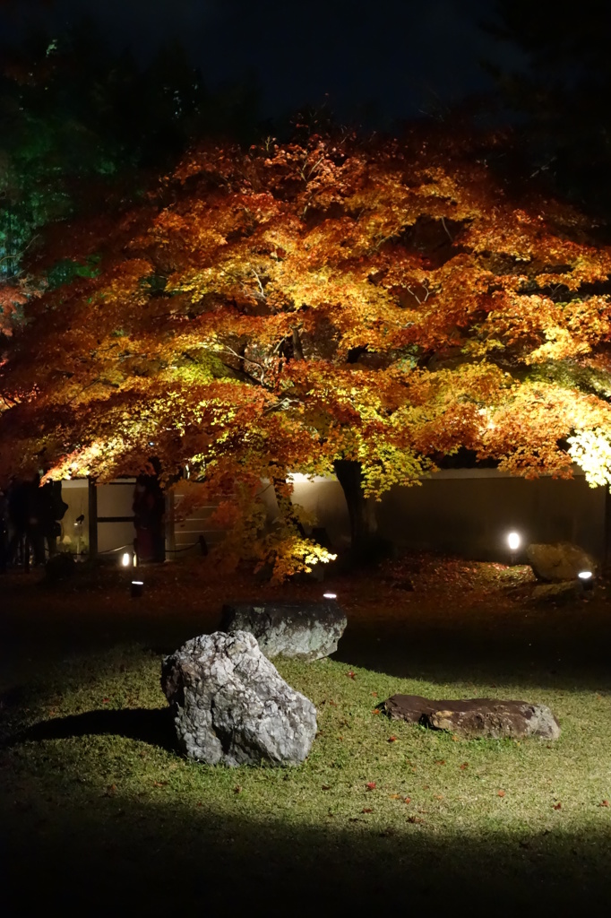 京紅葉2013＿高台寺06