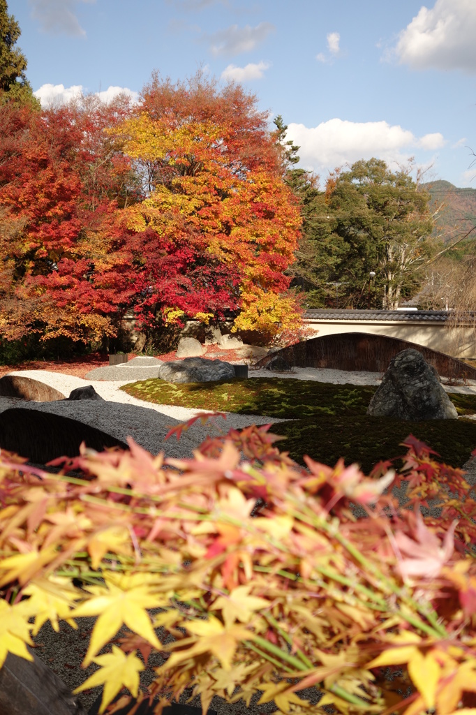 京紅葉2013＿実相院04