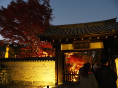 京紅葉2025＿嵐山・鹿王院夜の特別拝観01　山門