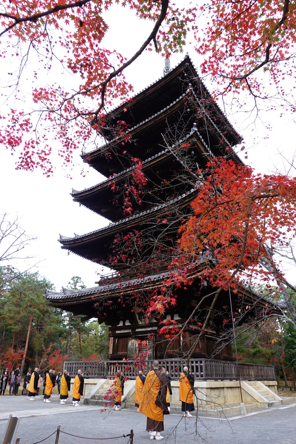 京紅葉2018＿仁和寺07　五重塔３　お勤め