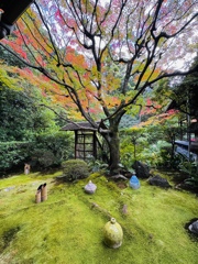 京紅葉2024＿桂春院01