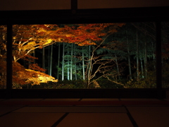 京紅葉2024＿大原・宝泉院　秋の夜灯り05