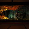 京紅葉2024＿大原・宝泉院　秋の夜灯り05