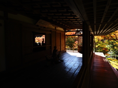 京紅葉2025＿栂尾・高山寺06　先生