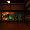 京紅葉2024＿大原・宝泉院　秋の夜灯り08