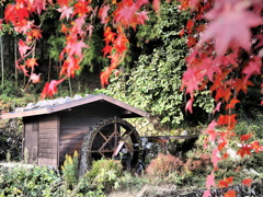 水車小屋の秋