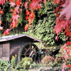 水車小屋の秋