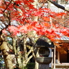 京紅葉2015＿圓光寺16