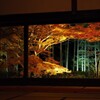京紅葉2024＿大原・宝泉院　秋の夜灯り06
