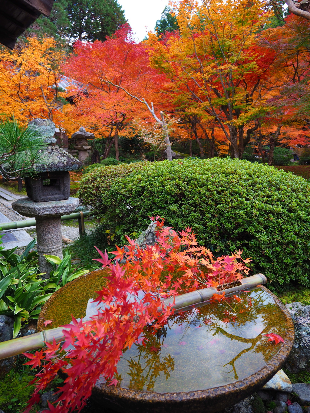 京紅葉2024＿圓光寺08　水琴窟Ⅱ