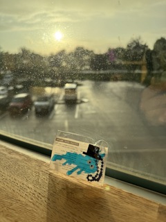 琵琶湖 どろどろ