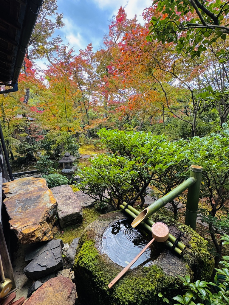 京紅葉2024＿大法院02